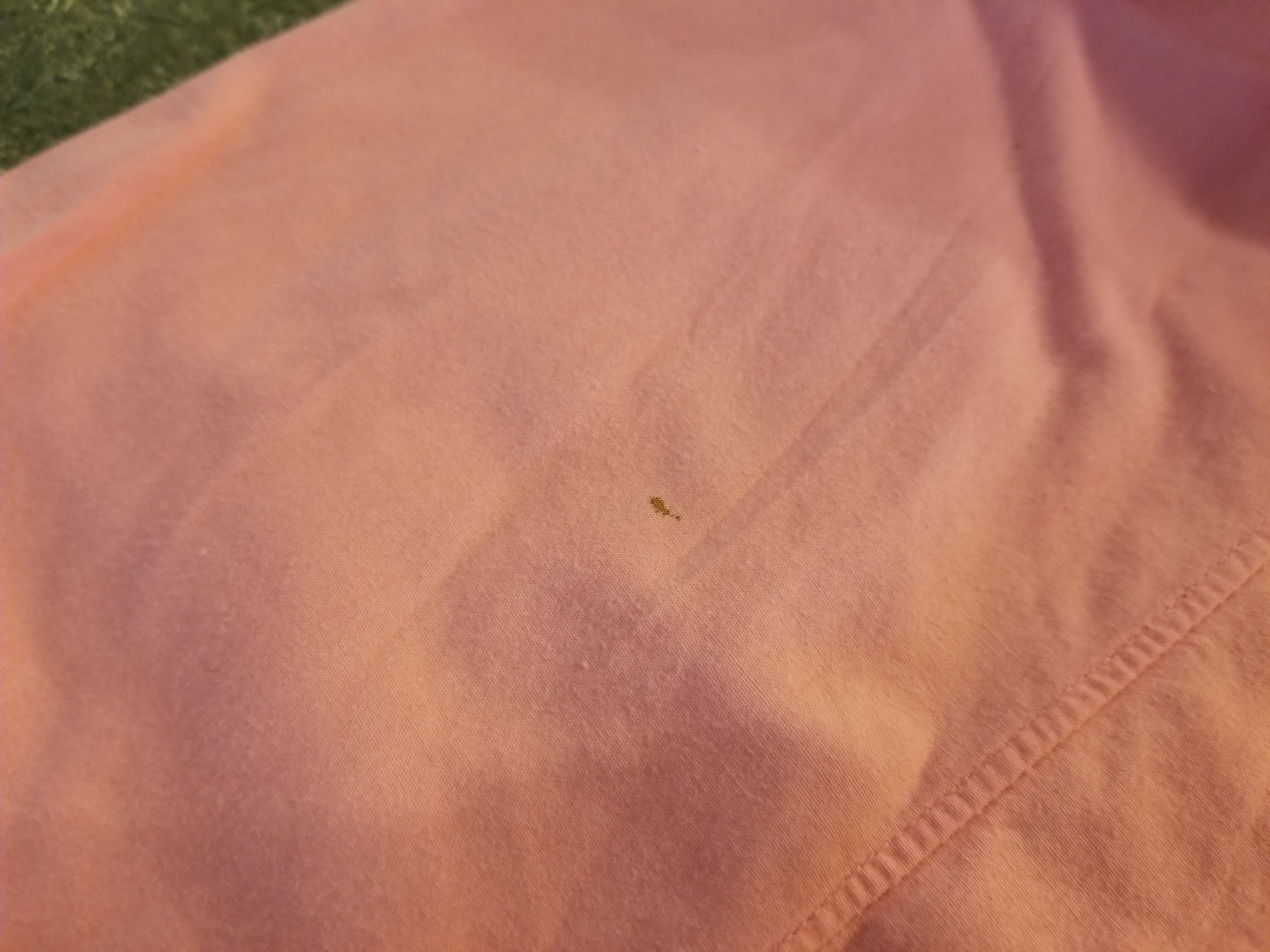 COMME des GARCONS HOMME PLUS/コムデギャルソン 88AW パールボタン