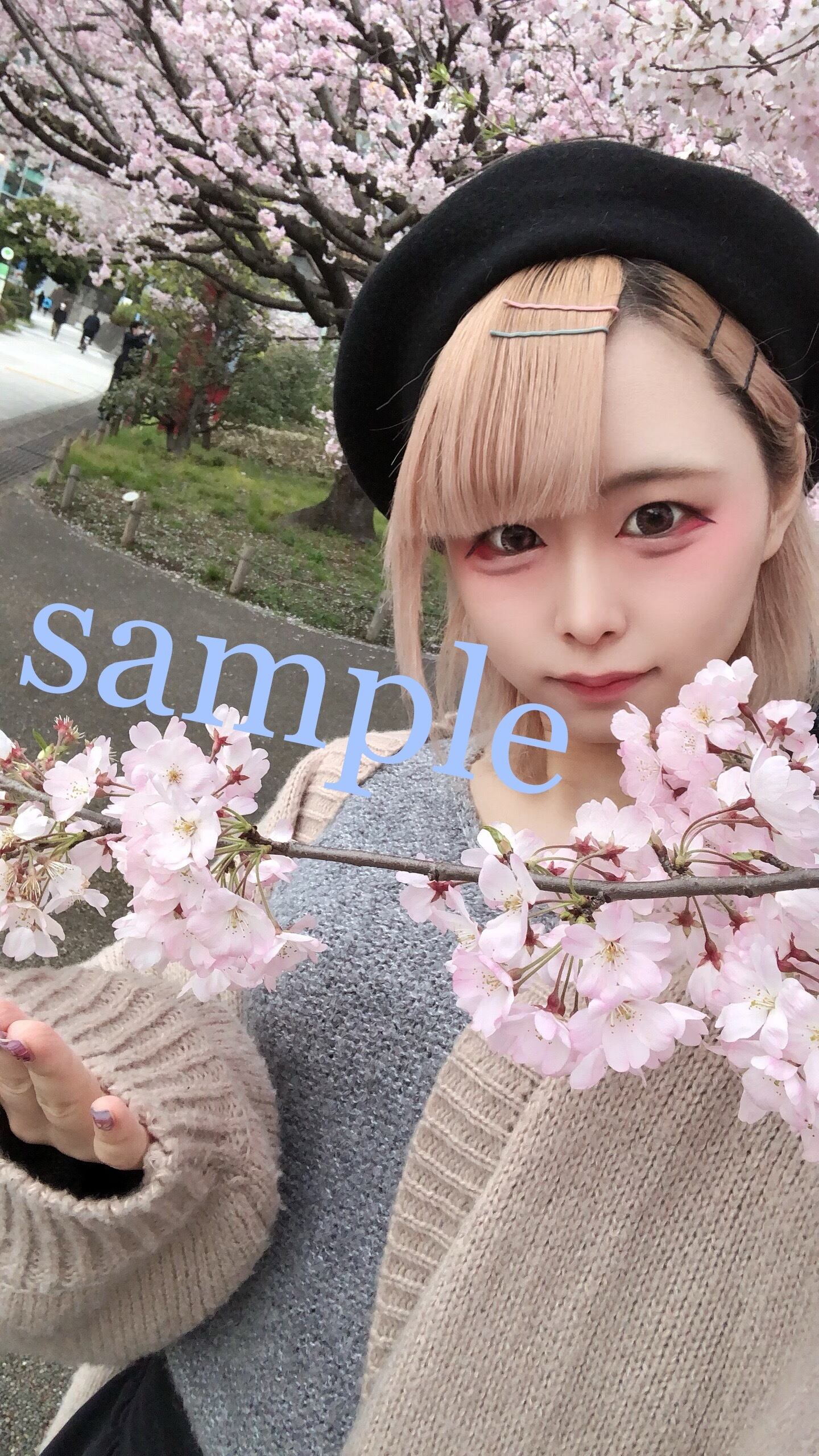 チェキ(桜) | あじさいにゃんこかんぱにー