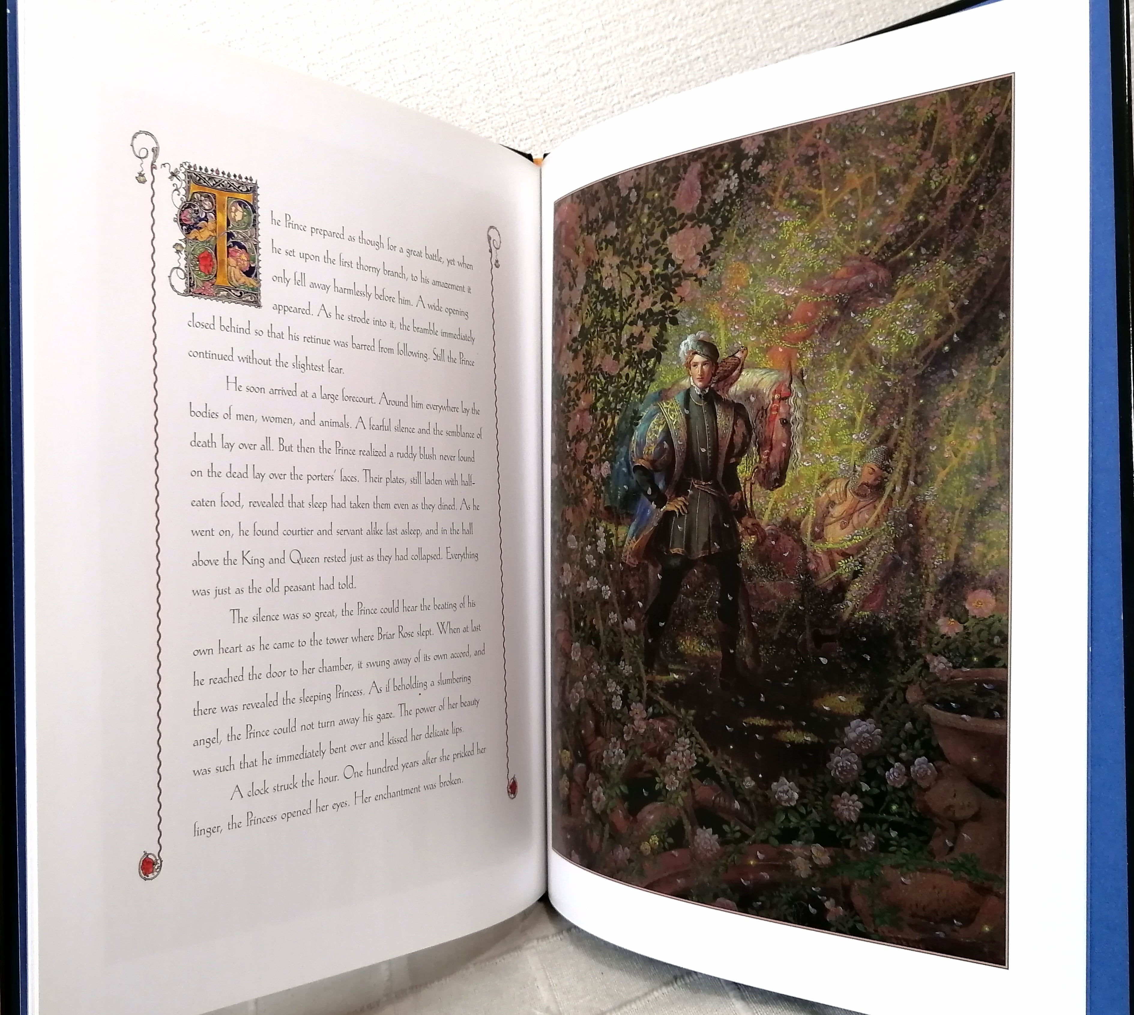 Sleeping Beauty　K. Y. Craft　キヌコヤマベ・クラフト K. Y. Craft Sleeping Beauty Chronicle Books | 札幌の古書店