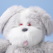 < doudou-poi > ぬいぐるみ - いぬのドク（gray）