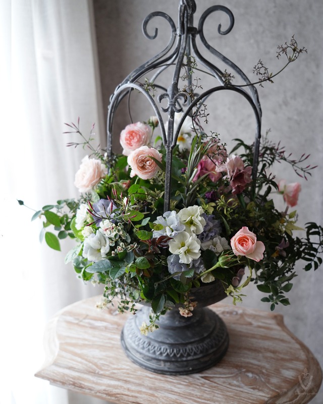 【花苗セット】水色プリムラとミニバラ ラブリーモアの花苗セット