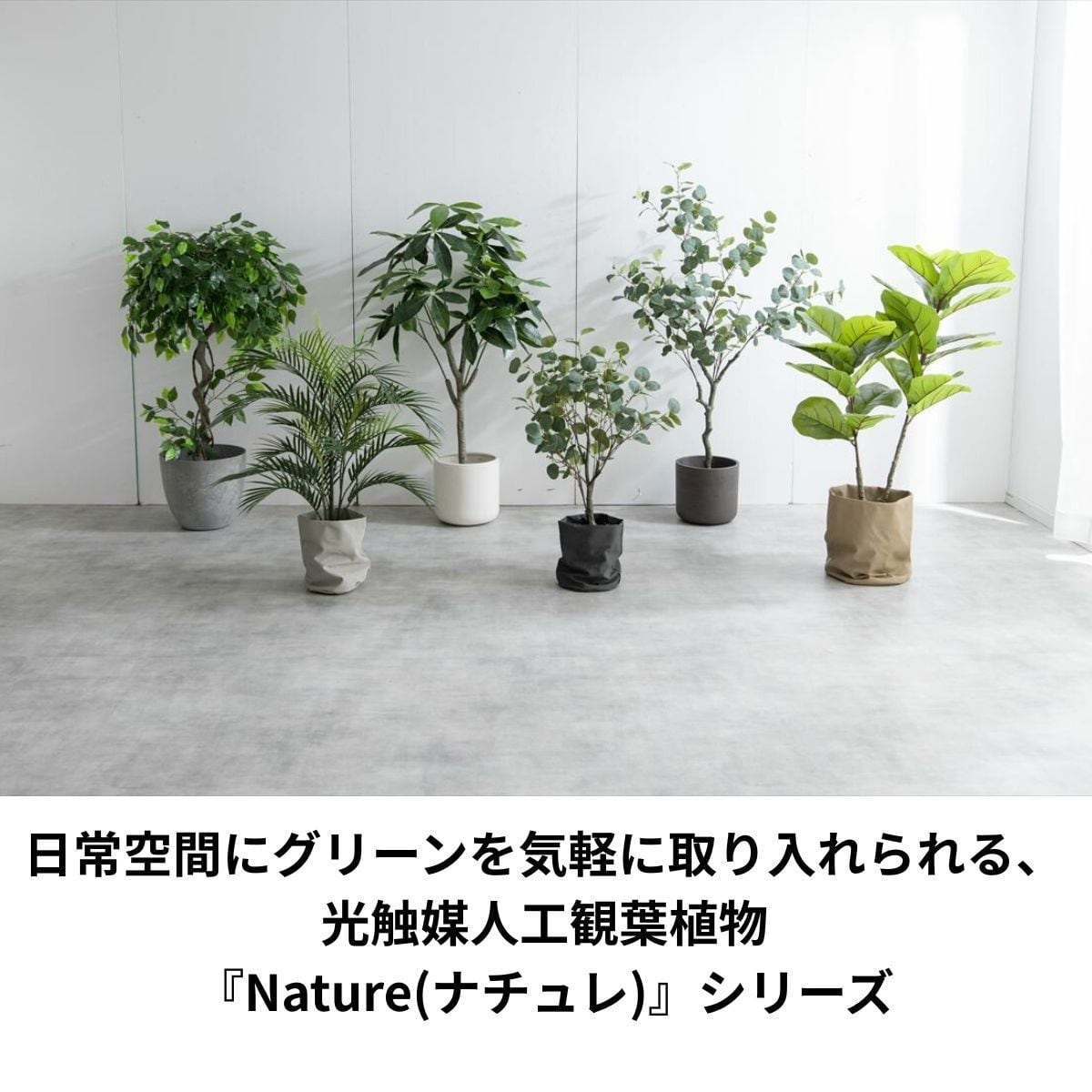 光触媒 人工観葉植物 フェイクグリーン ナチュラルパキラ 1.8m 【公式
