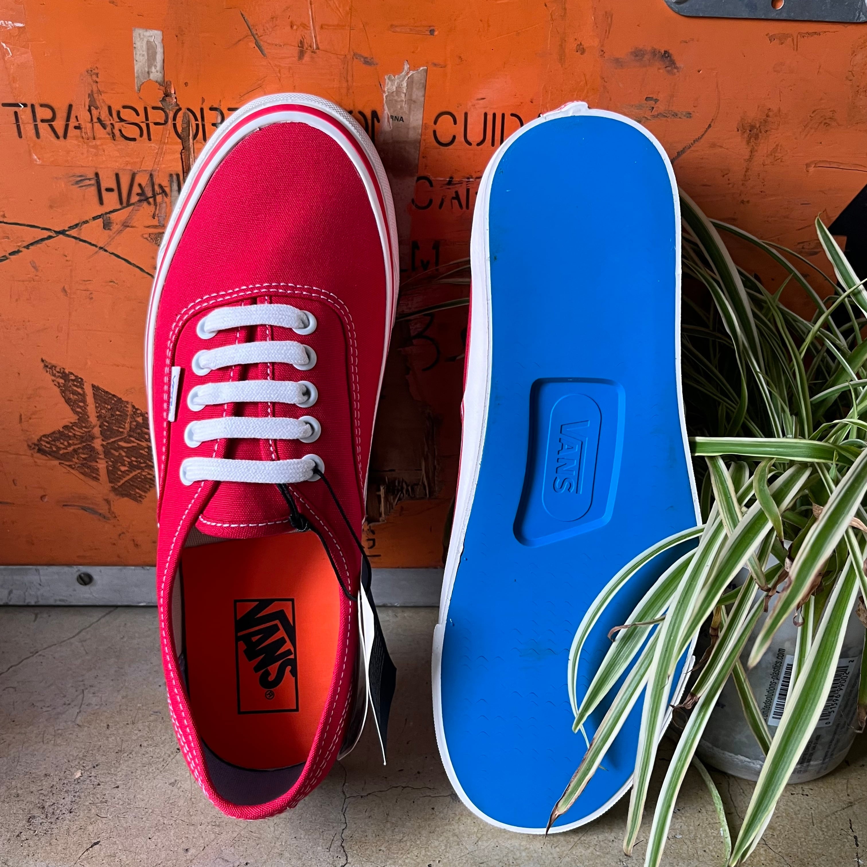 VANS AUTHENTIC 44 DECK DX 