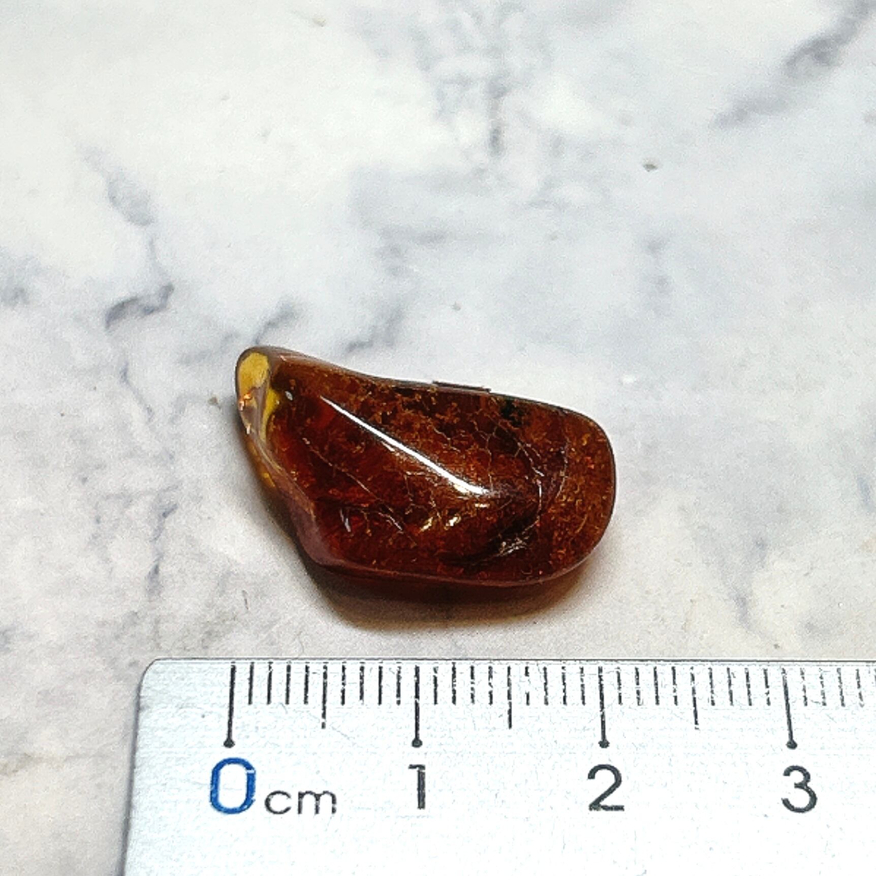 E19312】 虫入り琥珀 虫入り 琥珀 こはく コハク 化石 虫入りコハク
