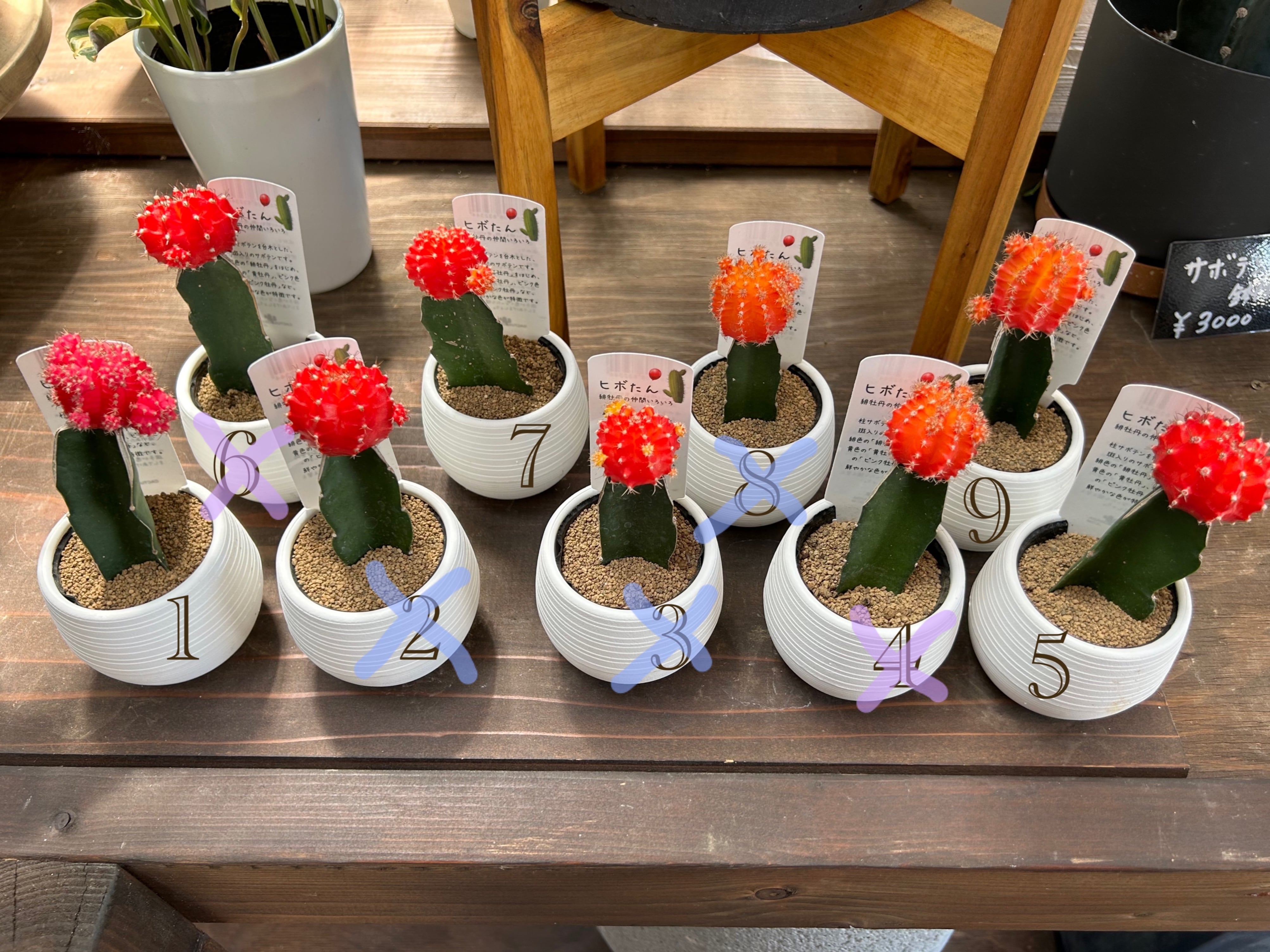 植物育成ライト LED 60W パネルIP65温白色 256LEDフルスペクトル 迅速