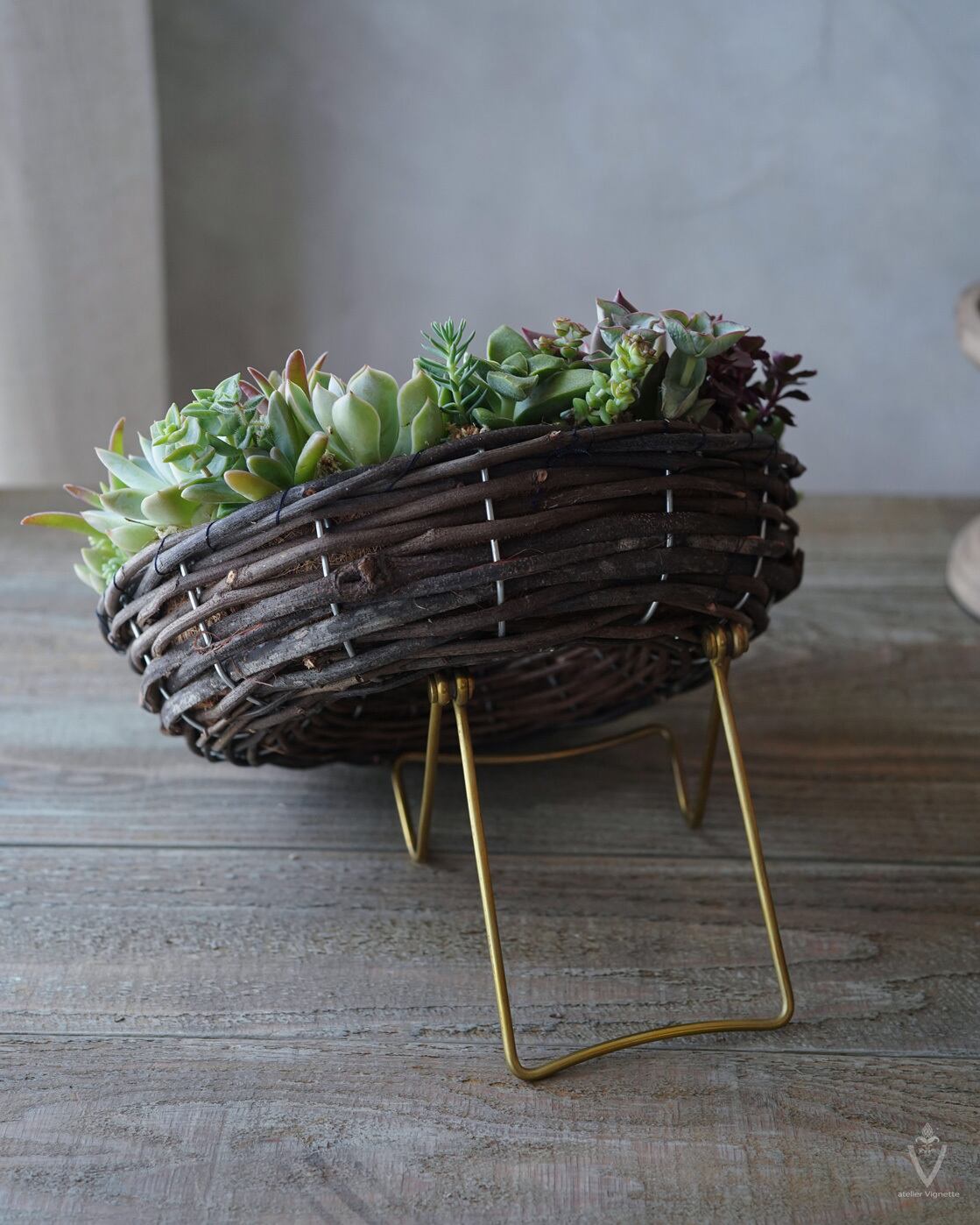 多肉植物 のリース Φ25cm 【寄せ植え】 | アトリエ ヴィネット（花苗