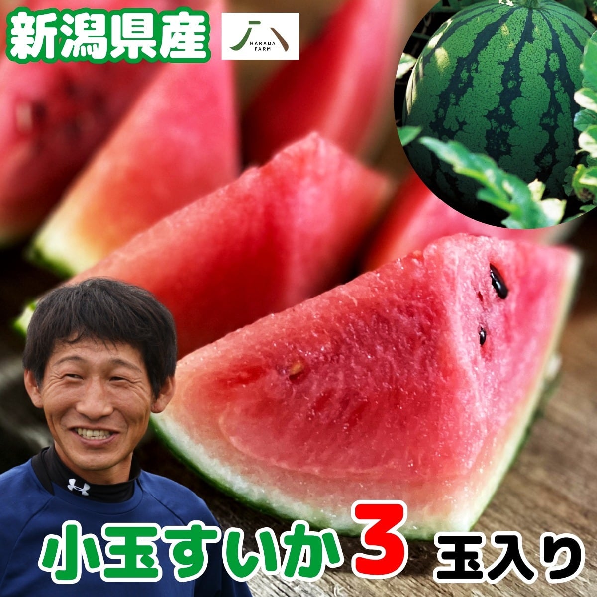 産地直送】原田農園 小玉スイカ 姫甘泉 1.2kg 前後 3玉入り すいか