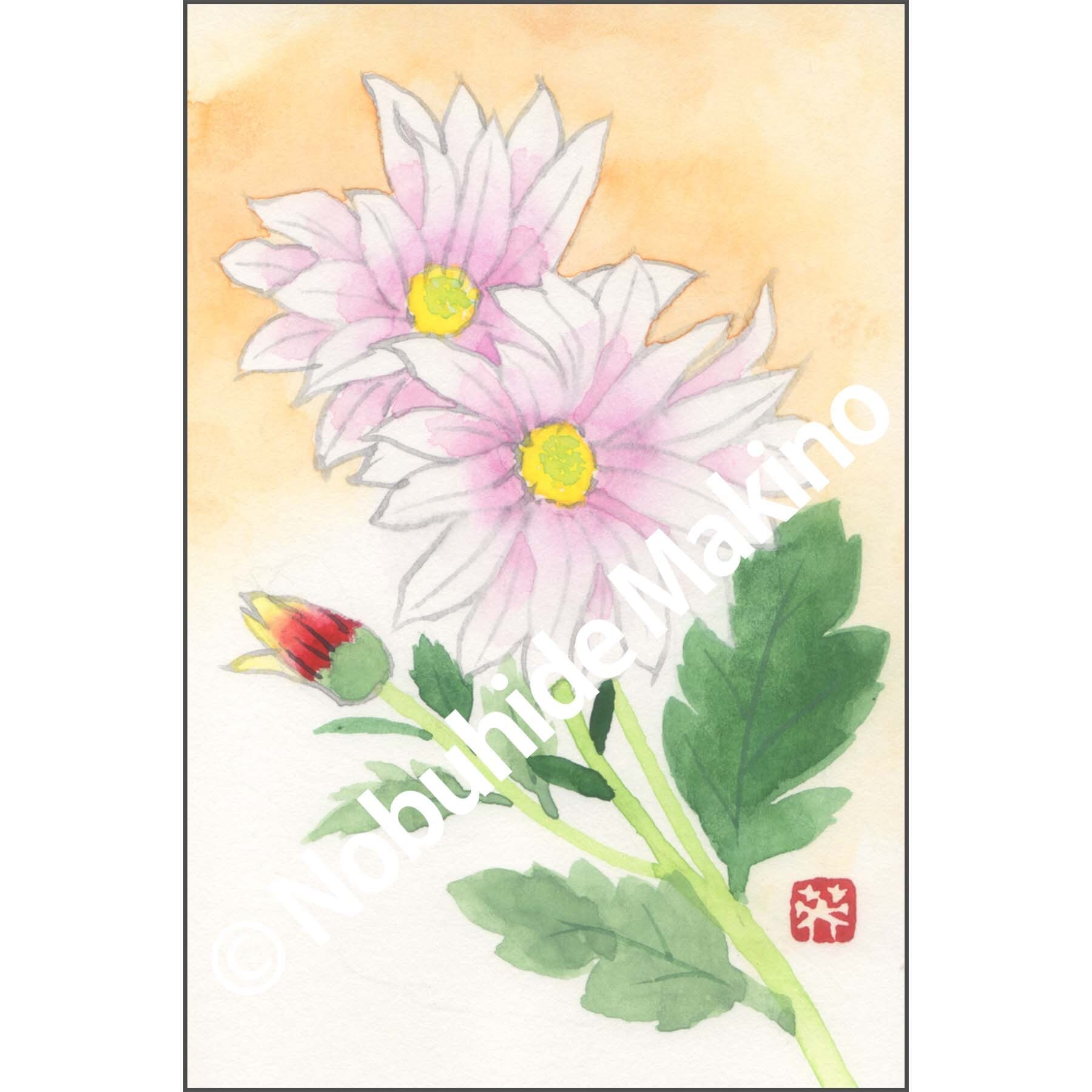 朝顔（日本画）Morning Glory | 牧野伸英の日本画ショップ -Nobuhide