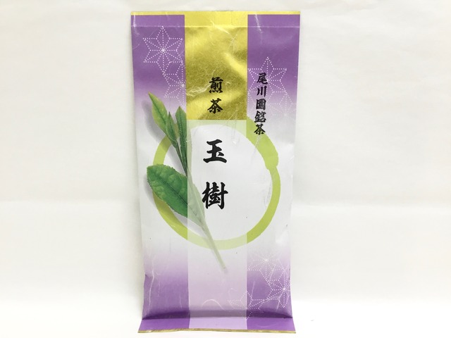煎茶 永樹