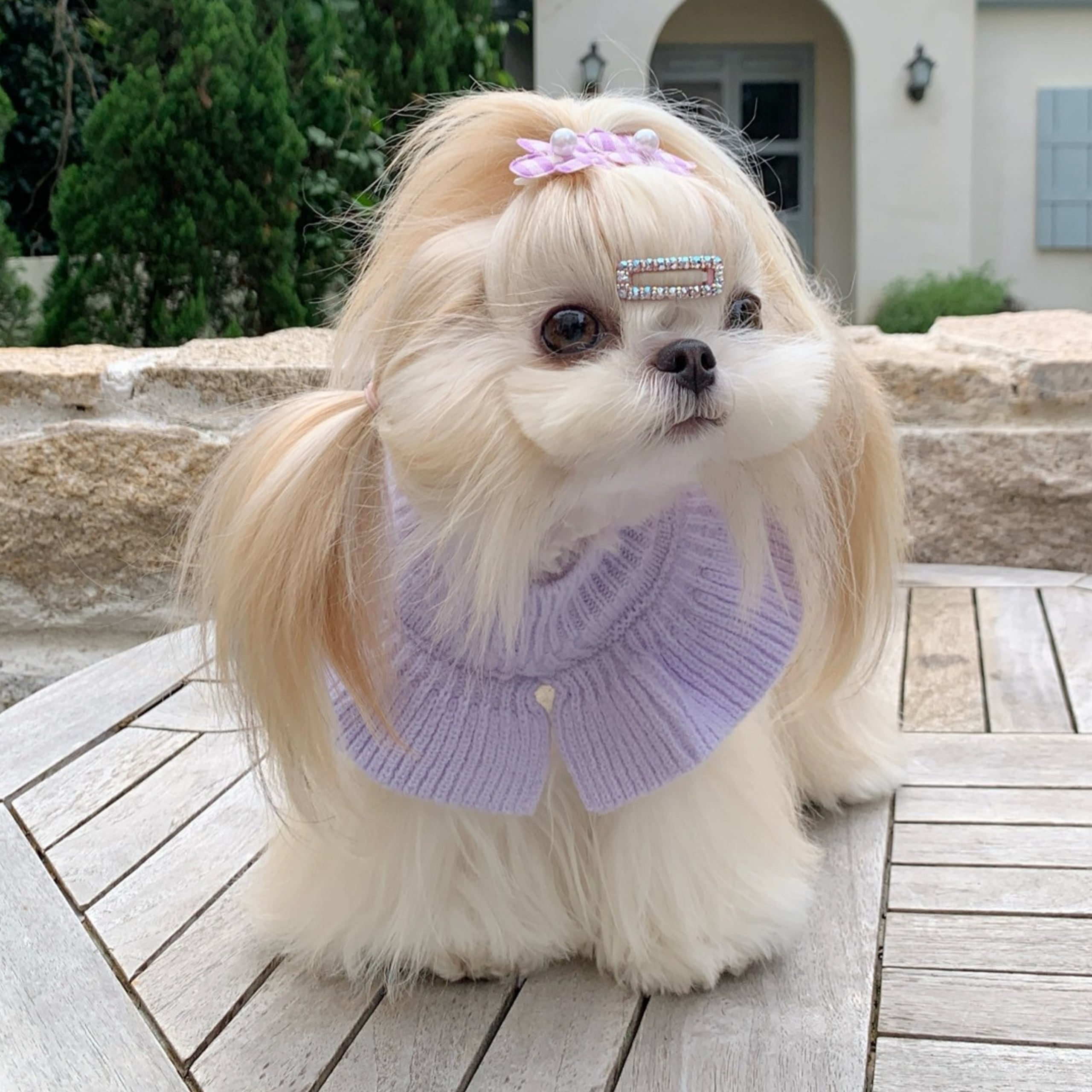 パールボタンのラベンダーカラーニット 00754