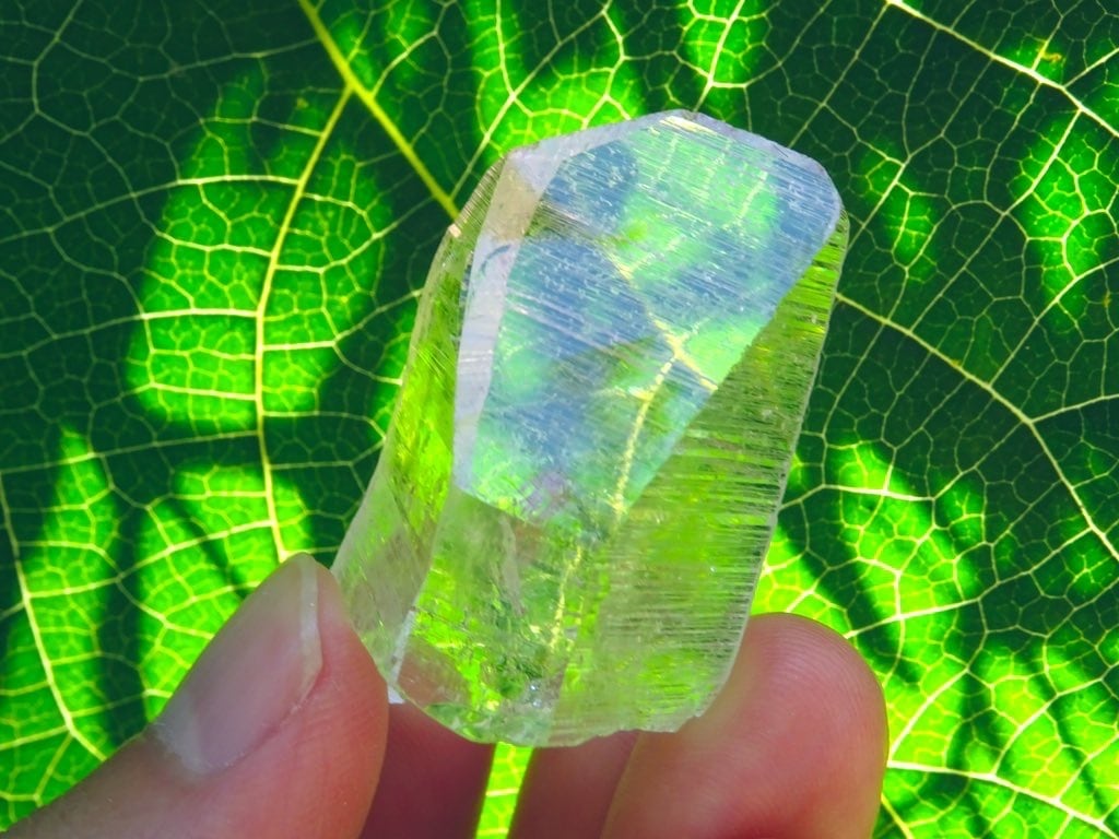 20~30%OFFセールのお知らせ ~芽吹き~