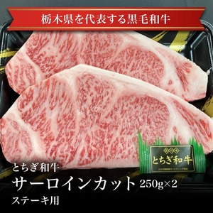 【冷凍】とちぎ和牛サーロインカット250ｇ×2　那須高原からの贈り物 食品 肉 業務用 肉　冬 ギフト 引越し 祝い ひな祭り 花見 弁当 お取り寄せグルメ