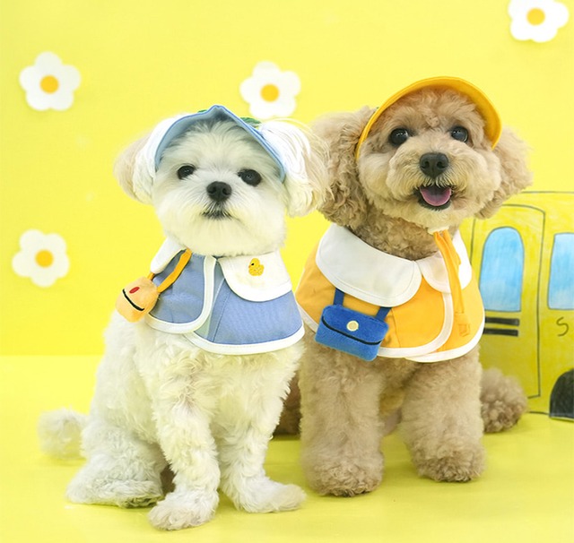 kindergarden cape & ball cap set 2color / 犬用 帽子 幼稚園 ケープ バンダナ スカーフ アクセサリー ドッグウェア ペット用 cap 被り物 お揃い お出かけ お揃い 撮影会 ban18