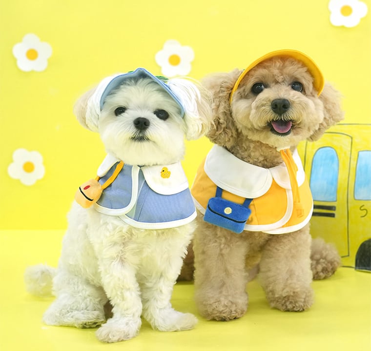 kindergarden cape & ball cap set 2color / 犬用 帽子 幼稚園 ケープ バンダナ スカーフ アクセサリー ドッグウェア ペット用 cap 被り物 お揃い お出かけ お揃い 撮影会 ban18