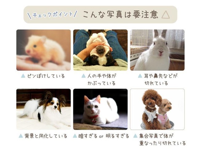 うちの子クッション【トロマット生地】 キーホルダー サイズ