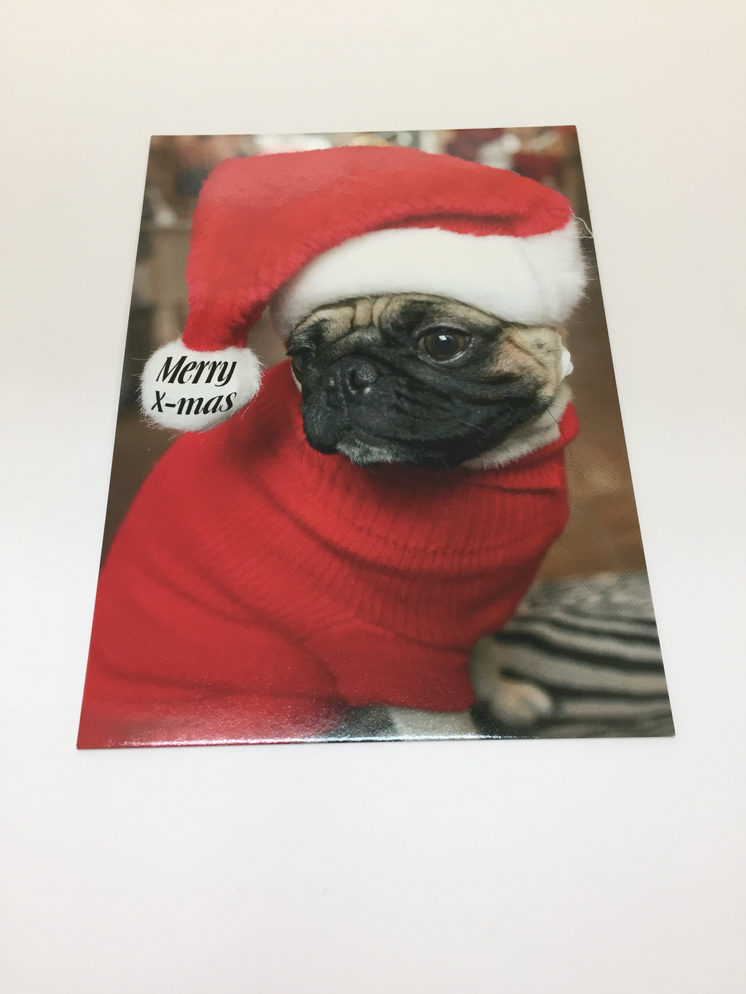 ドイツ直輸入 クリスマスカード パグ犬サンタさんが可愛い ポストカード エル カリニョ
