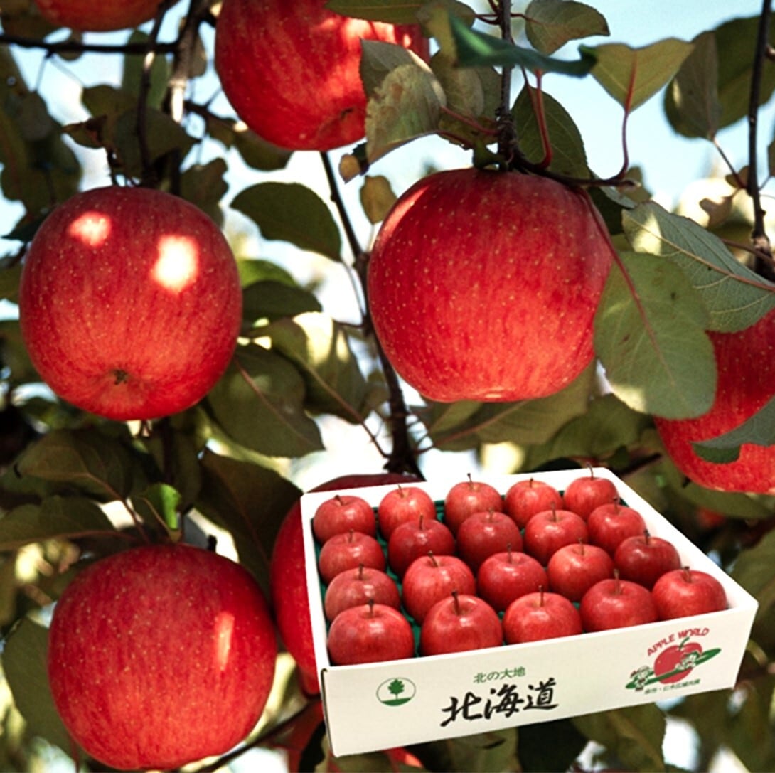 JA余市 りんご(ふじ)5kg 受付12/3迄・発送12/5~