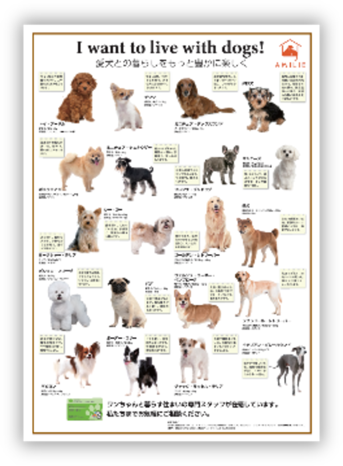 犬ページ1️⃣ 人気犬種ポスター A1/カラー 1枚 | ペットライフスタイル公式SHOP-
