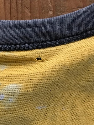 70's Champion バータグ "FREMONT JR. HIGH" リバーシブルTシャツ 4段プリント 表記(S)