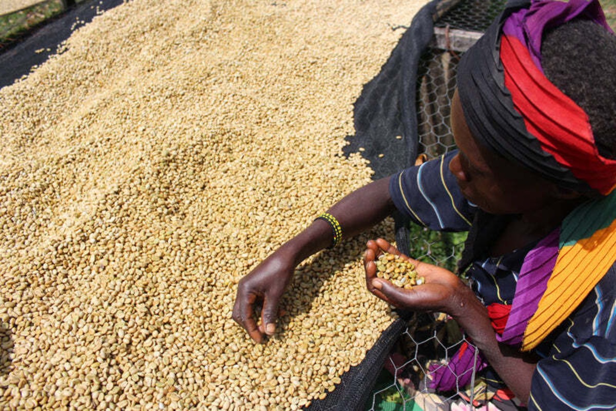 Kenya Karindundu 200g