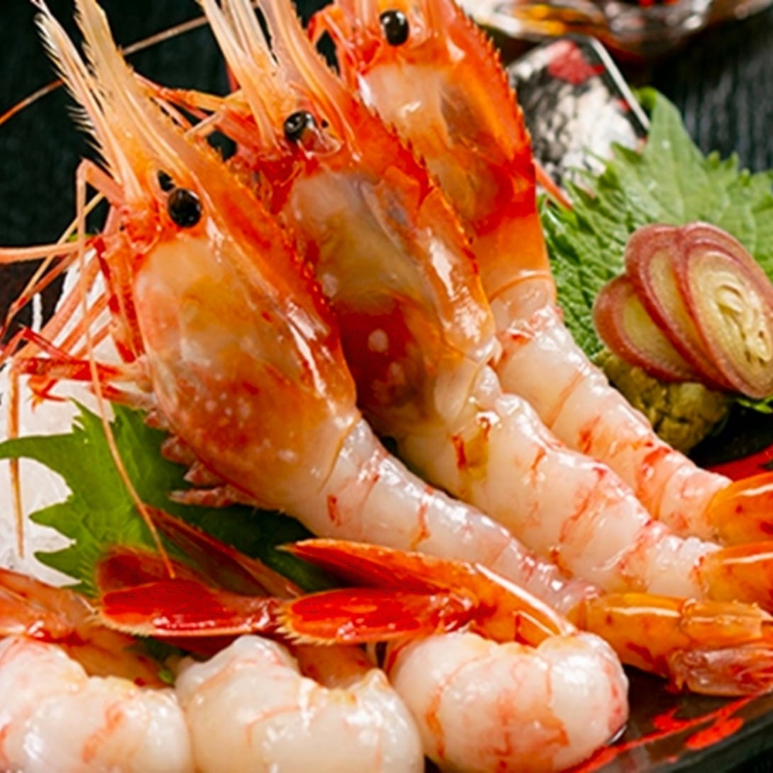 ボタン海老 牡丹海老 お刺身 用 500g 18尾 前後