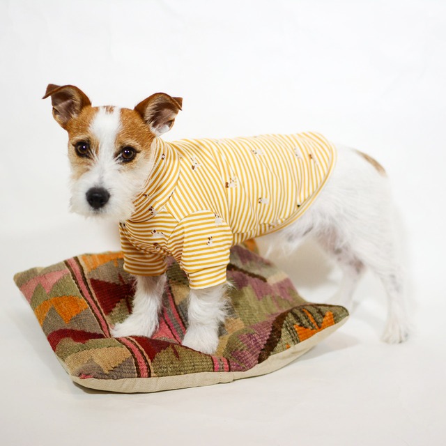 for dog jack border turtle neck T-shirts　mustard　