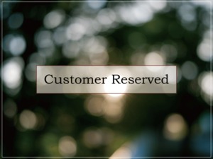 Reserved M.F様／カイラス水晶【原石】O300-328