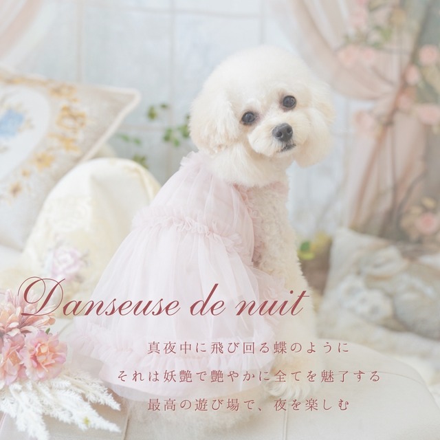 Danseuse de nuit（夜の踊り子) XS-XL.DS