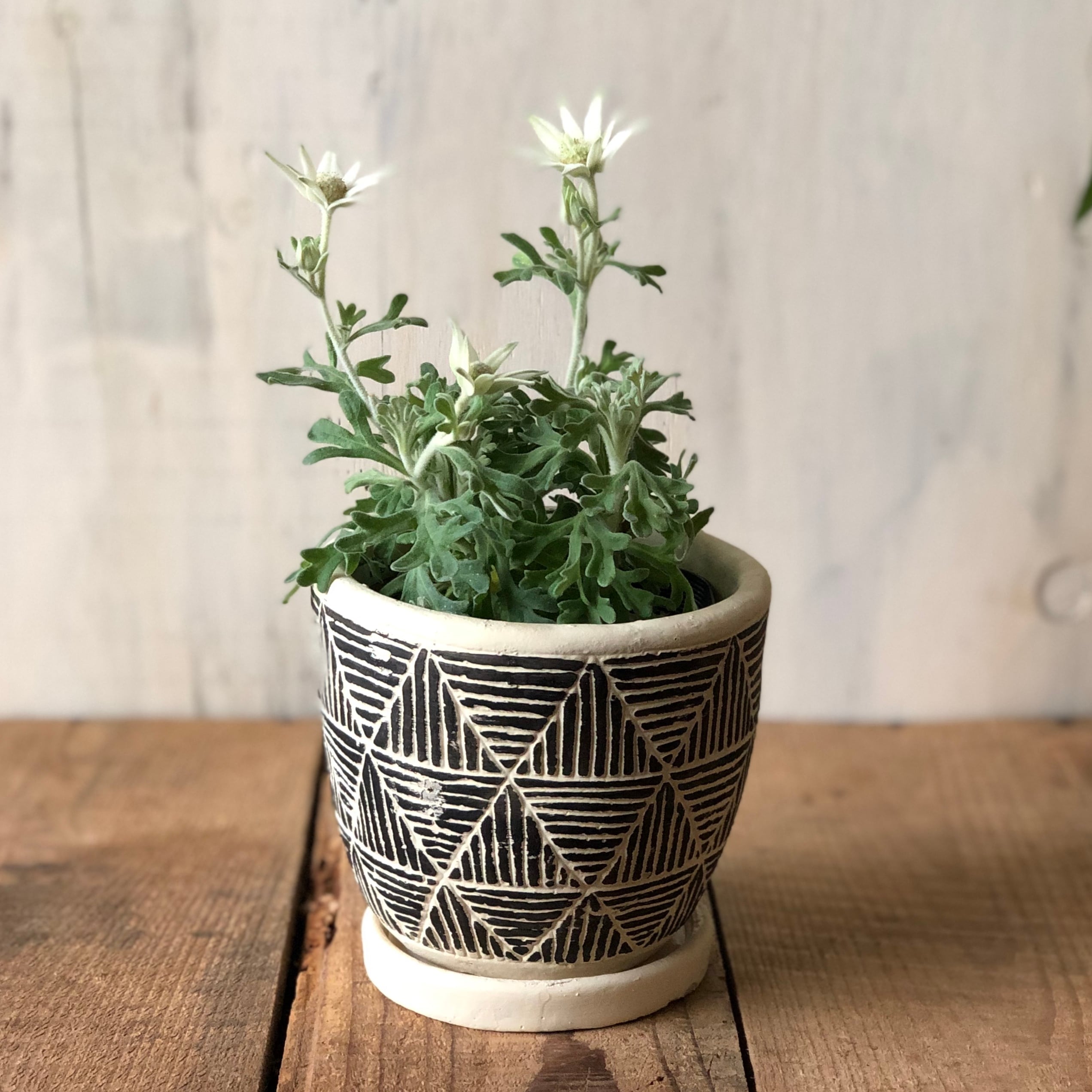 レリーフプランター トライアングル