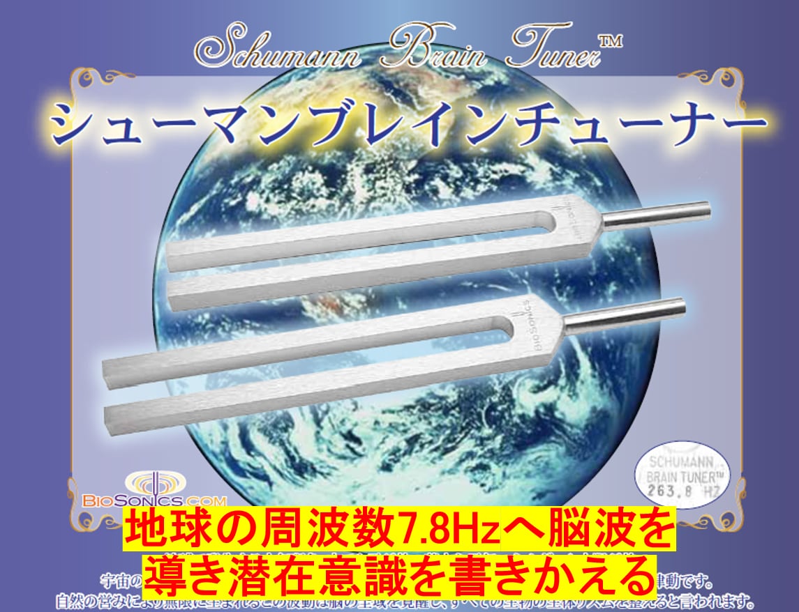 【潜在意識への脳波誘導】シューマンブレインチューナー256Hz+7.8Hz 2本セット