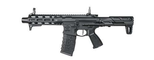 G&G ARP556 2.0 (電動ガン)