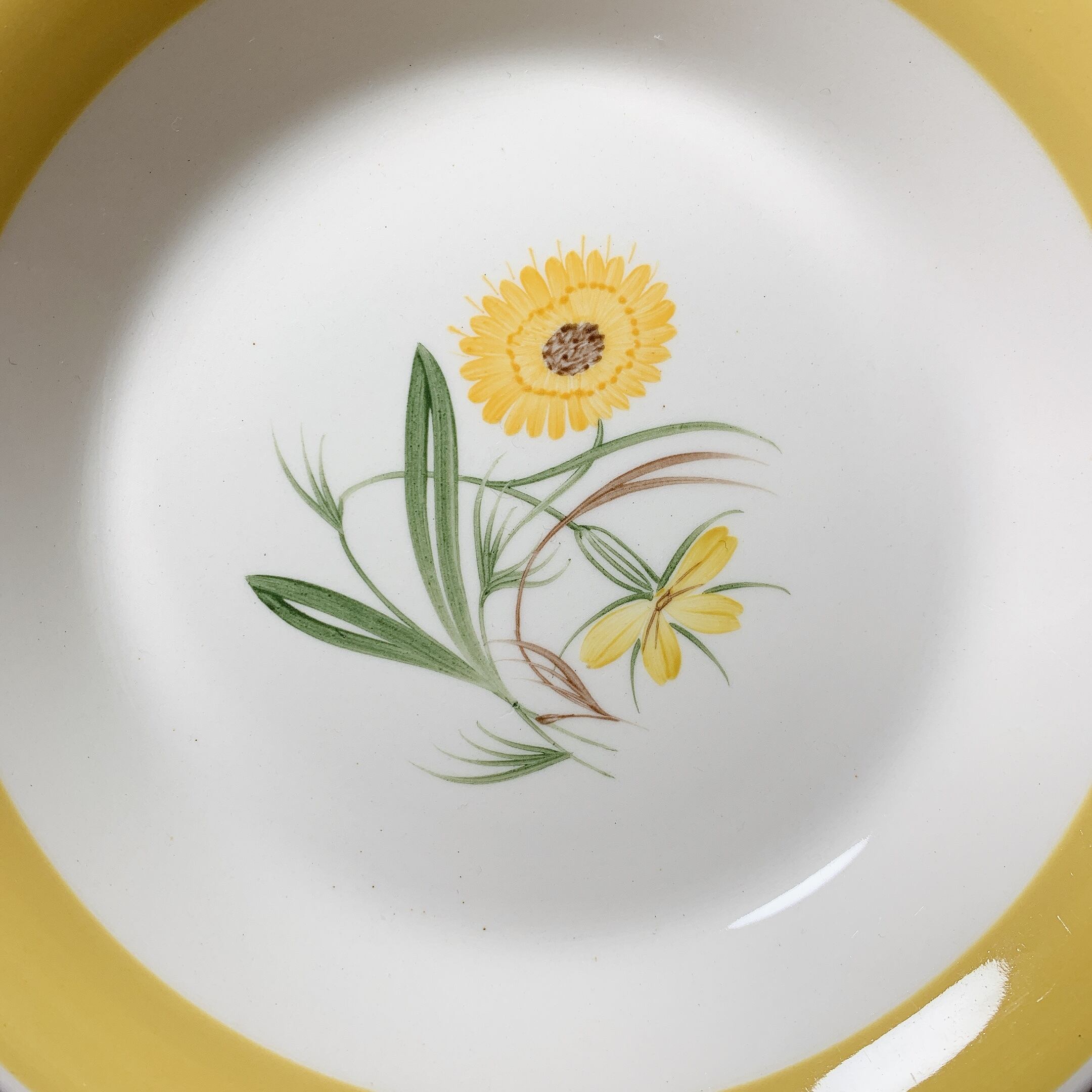 スージークーパー マリーゴールド プレート19.5cm D スージークーパー マリーゴールド プレート19.5cm D | bonbon mignon