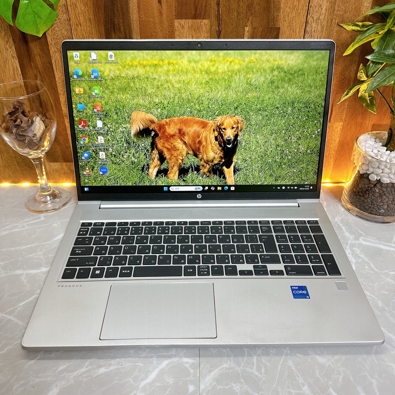 最新2022年式/HP ProBook 450 G9/15.6型/メモリ16GB/SSD256GB/大型ノートパソコン