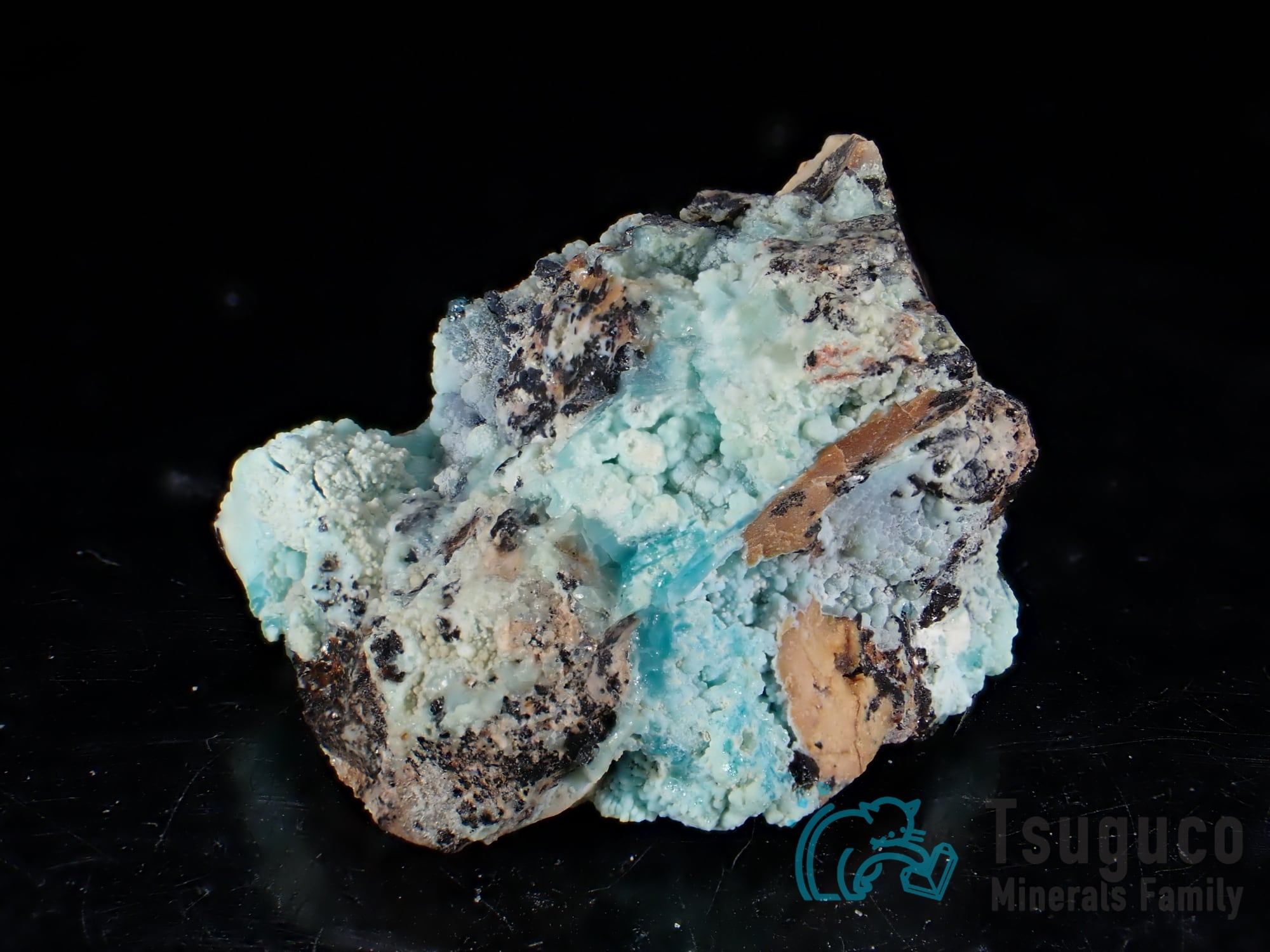 アロフェン アメリカ TM-787 Ex. Dr. Bob Janssens #1684 | つぐこみ