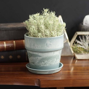 アーバンプランツポット 13.5cm ソリッドケール