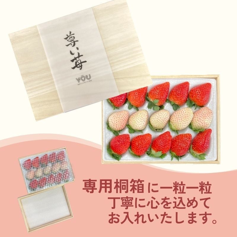 【専用】いちご様 1月15日はいちごの日】まるで宝石のような甘〜い完熟イチゴ 新品種