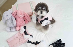 即納【MYLITTLEDOG】 Coco Angel Top (pink)