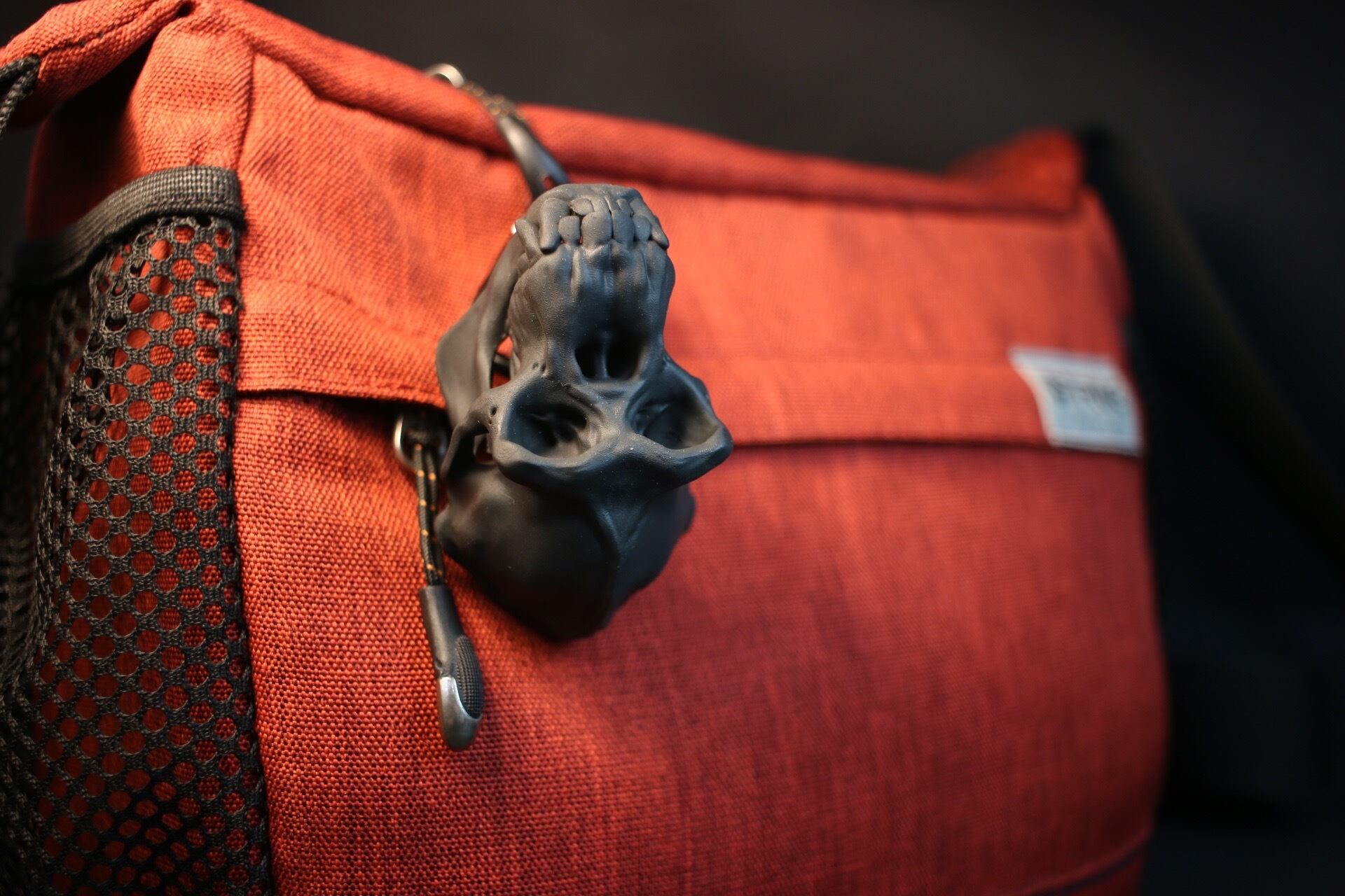 選べる2色・リング付き】チンパンジー 縮小 頭骨レプリカ | アンフィ