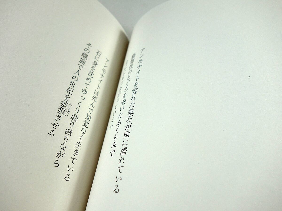 詩集 雁の世（川田絢音 著） | bookstore ナルダ