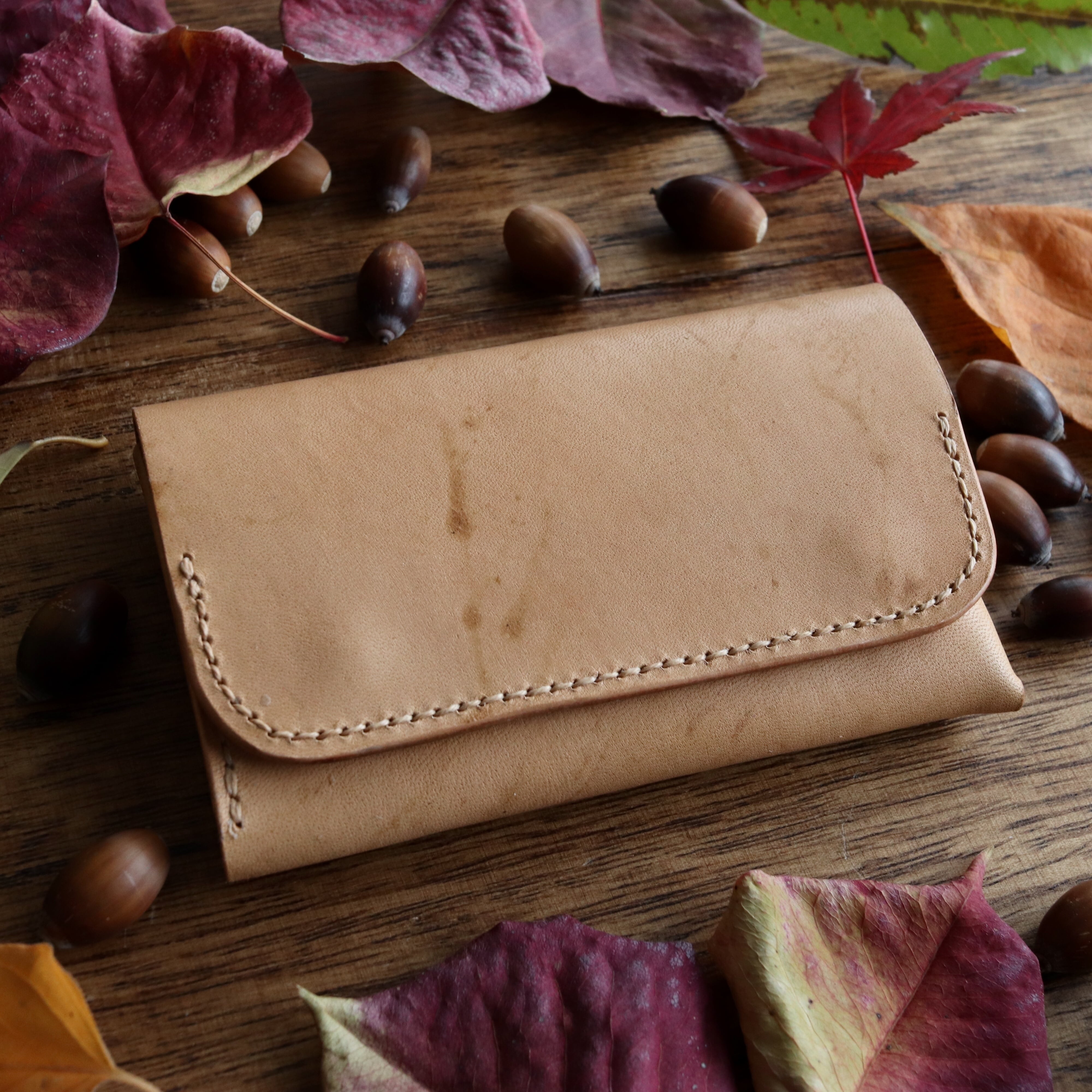 どんぐり　ブラウン23 どんぐり染