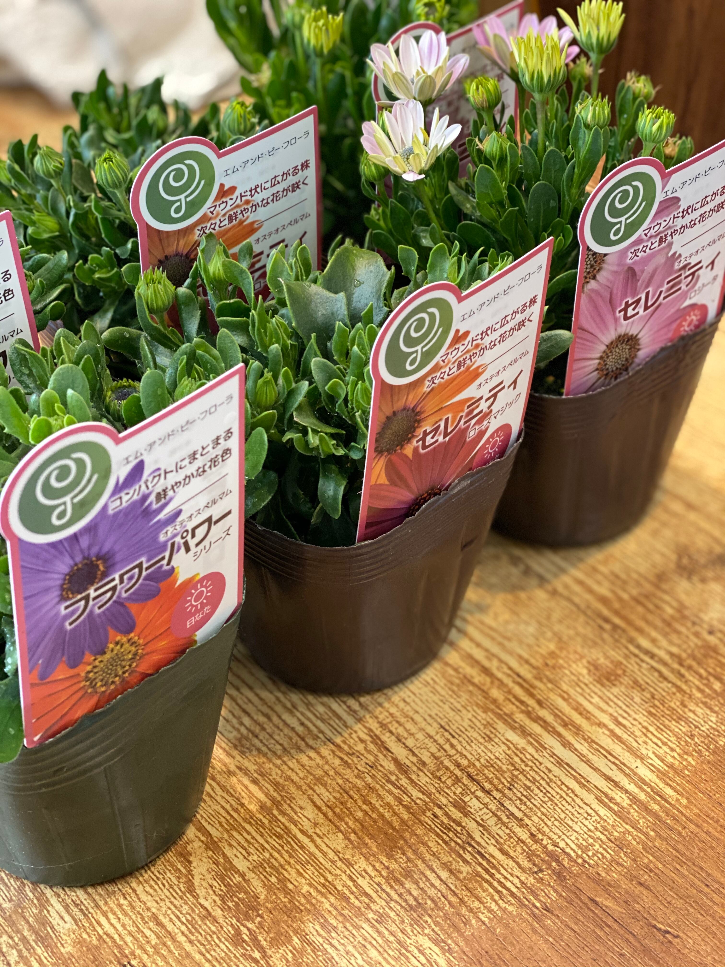 9a0bcf5769b23602a9427330829f19