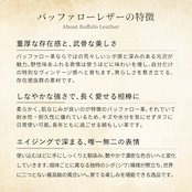 【限定商品】コインケース EM2 ラージ バッファロー