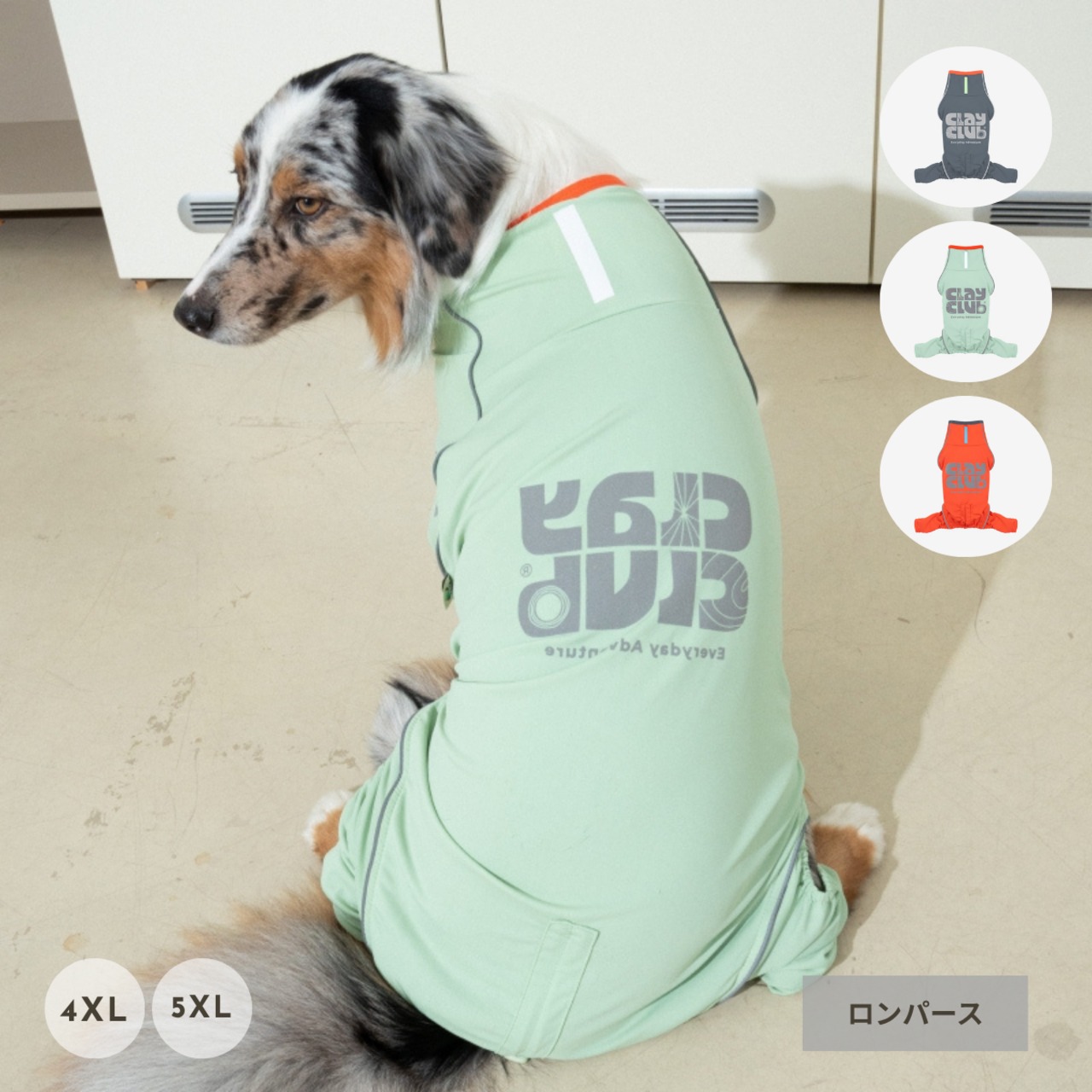 【puppygallery公式】Essential Training Suit  (Standard leg) 　 4XL-5XL