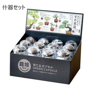 育てるカプセル まめ盆栽栽培セット