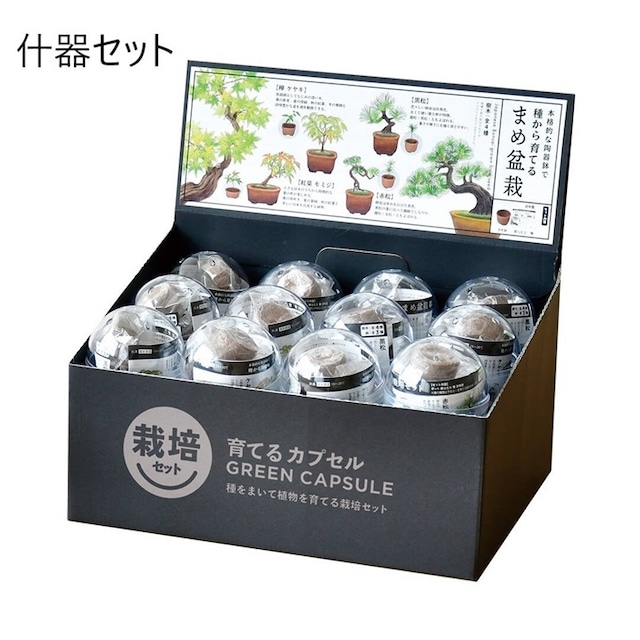 育てるカプセル まめ盆栽栽培セット