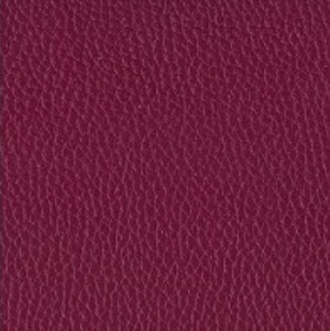 Compact 35mm フィルムカメラ <ラズベリー>