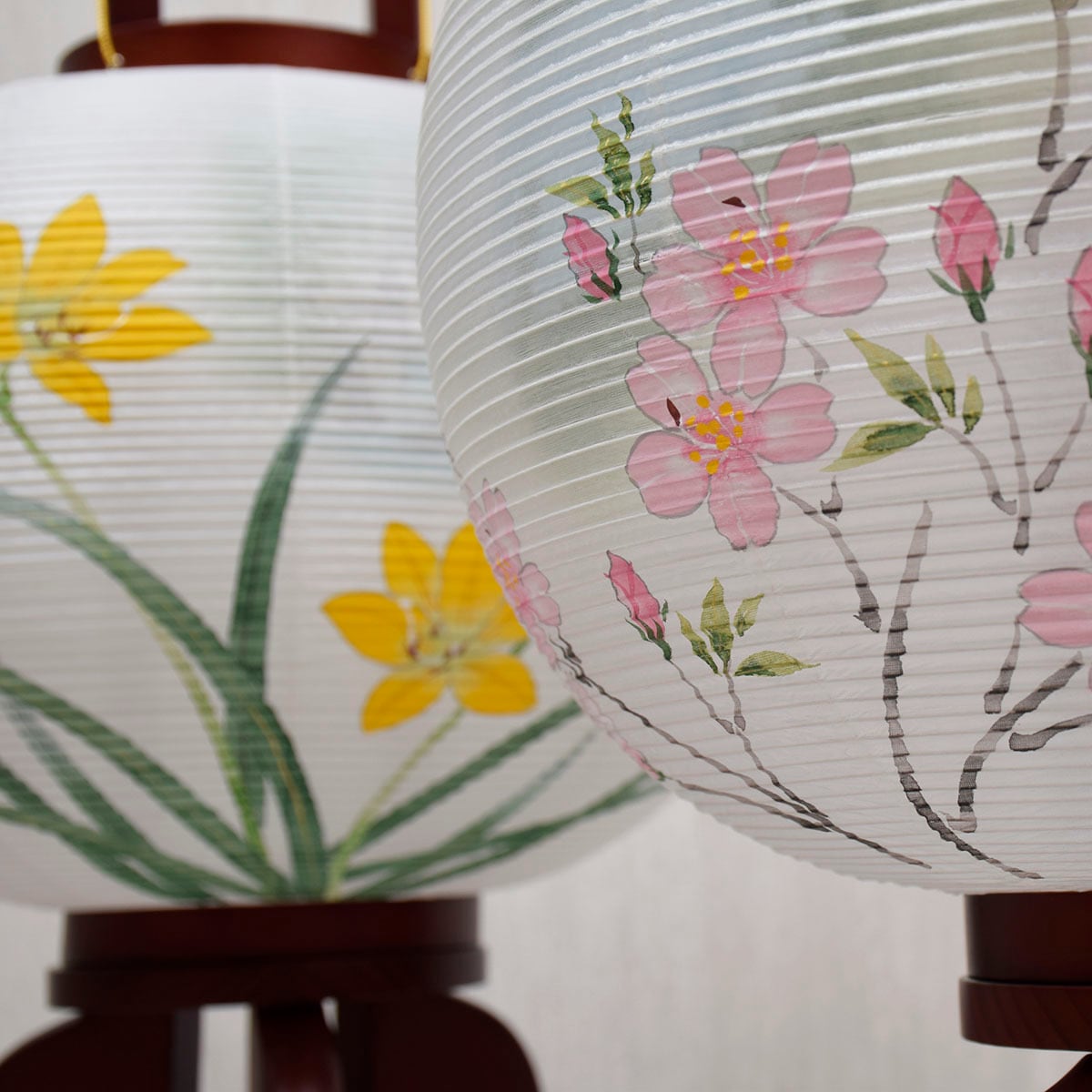 盆提灯【大内行灯 ふるさと とちぎ】 対柄｜日光｜中禅寺湖｜龍王峡