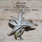 【送料無料】Snow Shark×ML var est Bill Baker Clone 《ベアルート株》〔ディッキア〕現品発送D0219