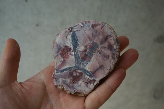 コールドマウンテン・サンダーエッグ Cold Mountain Thunderegg 2365