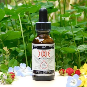 CBDオイル / 30ml : CBD100mg (0.3%) ディキシーボタニカル社製 